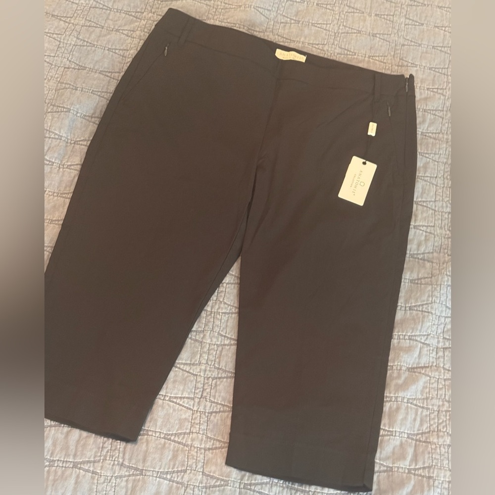 Anatomie Black Shorts